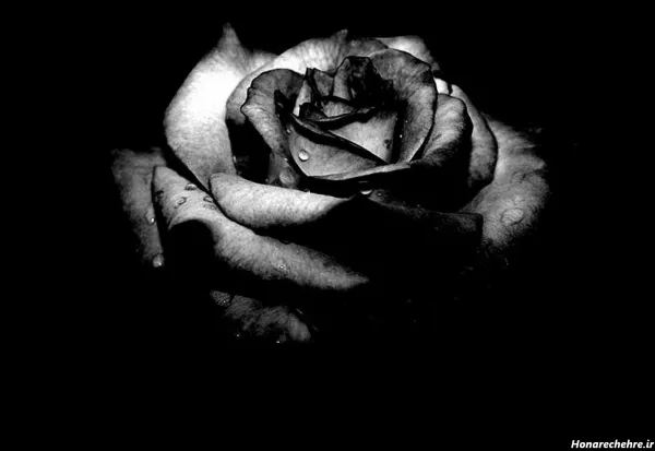  عکس تاریک برای استوری