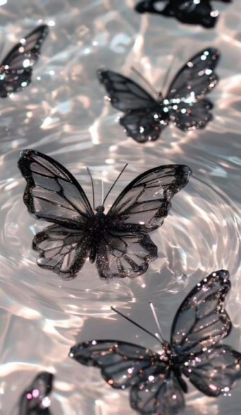 عکس تاریک پروانه