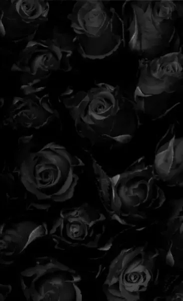  عکس پروفایل با تم مشکی