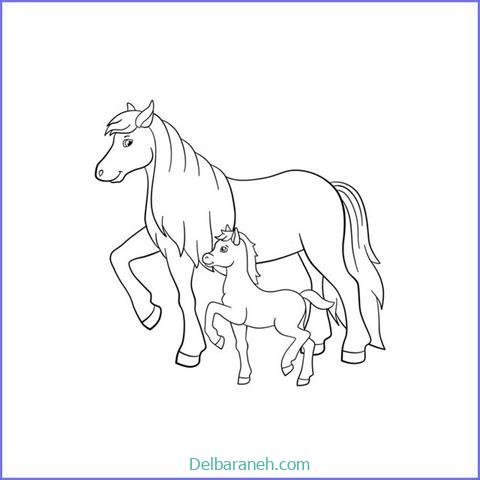 عکس های نقاشی اسب