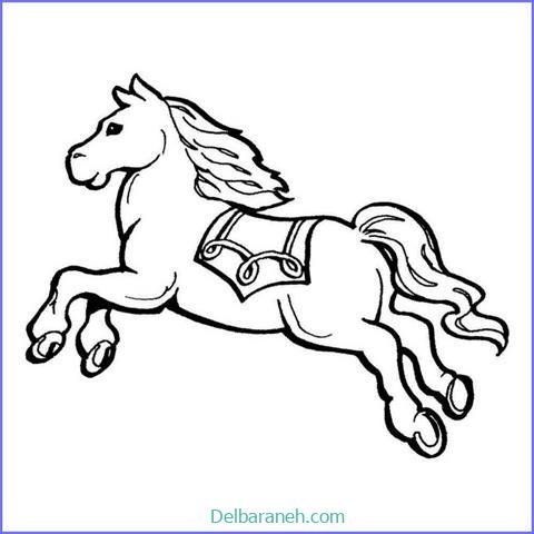  عکس های نقاشی اسب