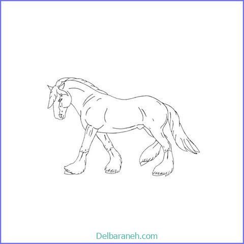  عکس های نقاشی اسب