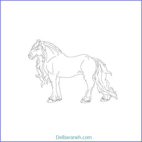  عکس های نقاشی اسب