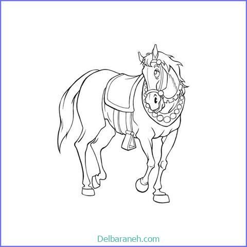  عکس های نقاشی اسب