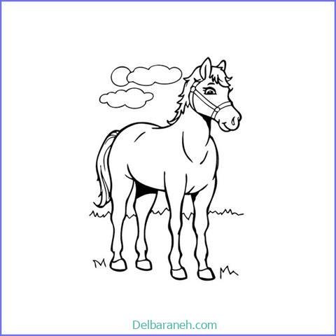  عکس های نقاشی اسب