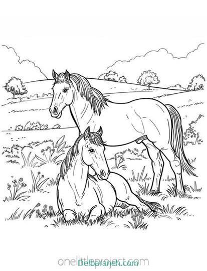  عکس های نقاشی اسب