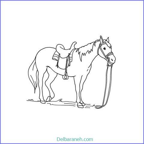 عکس های نقاشی اسب