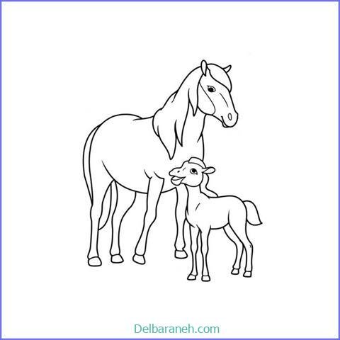  عکس های نقاشی اسب