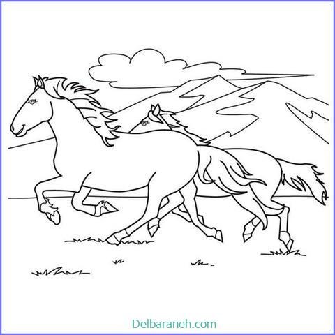  عکس های نقاشی اسب