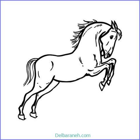  عکس های نقاشی اسب