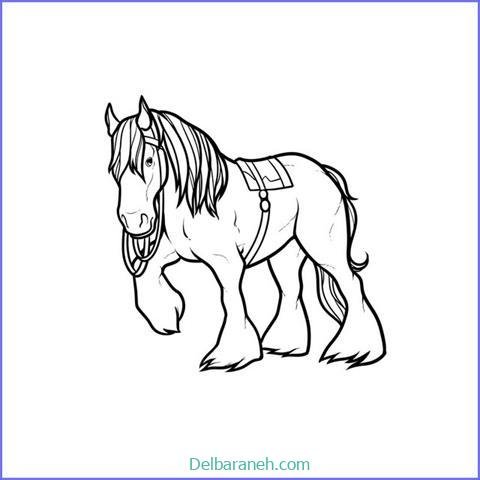  عکس های نقاشی اسب