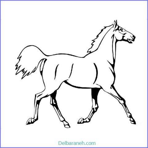  عکس های نقاشی اسب