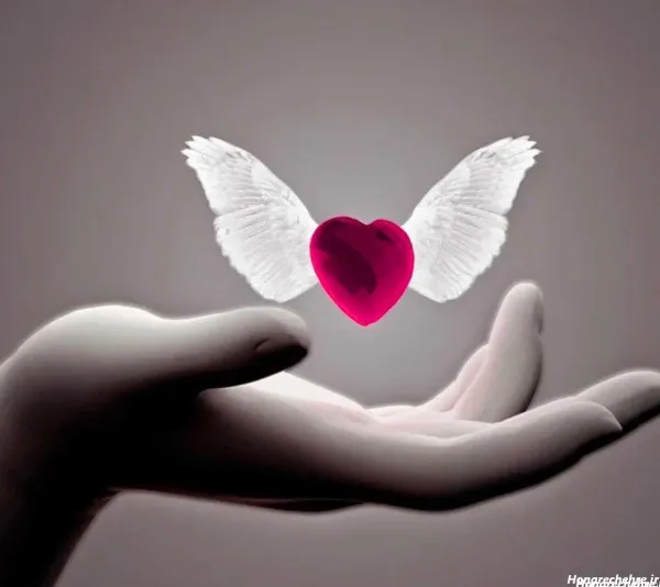  عـکس پروف گنگ ست