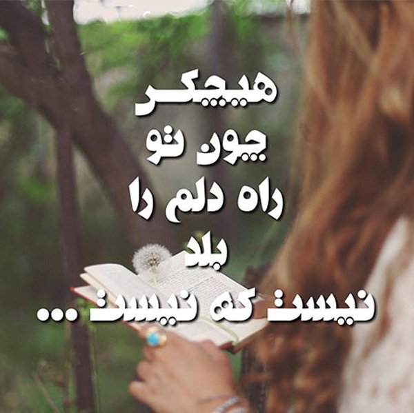  عکس پروفایل عاشقانه خاص و شیک