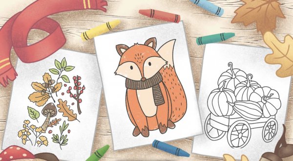  عکس های نقاشی پاییز