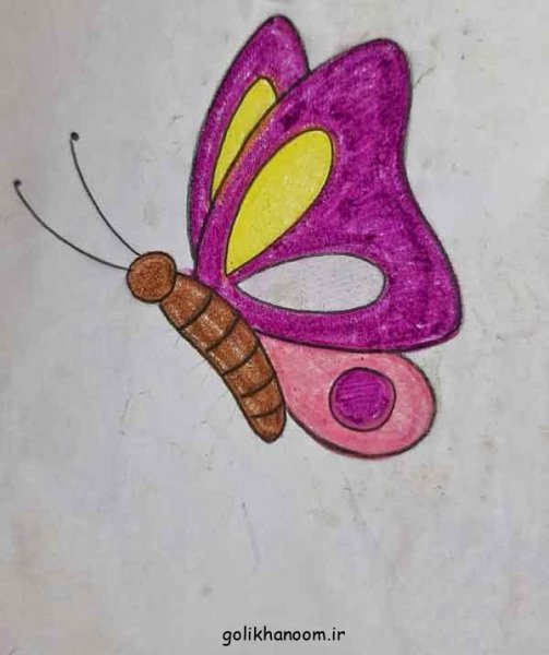 عکس های نقاشی پروانه