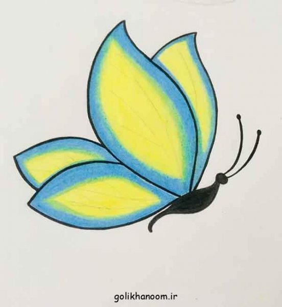  عکس های نقاشی پروانه