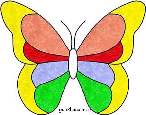  عکس های نقاشی پروانه