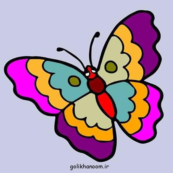  عکس های نقاشی پروانه