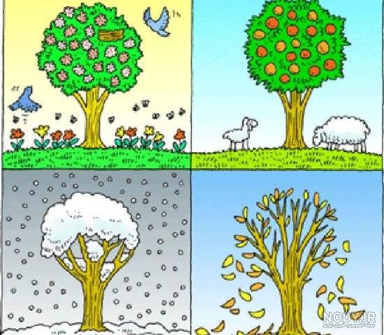  عکس های نقاشی چهار فصل