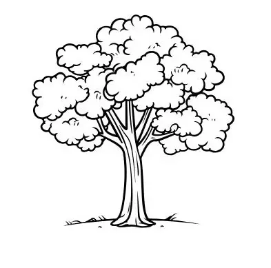  عکس های نقاشی درخت چنار