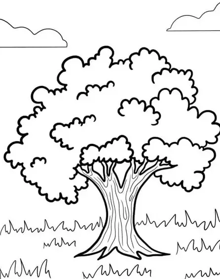  عکس های نقاشی درخت چنار