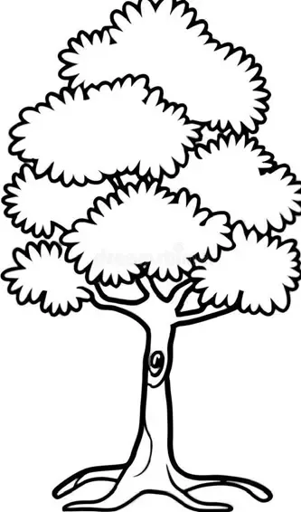  عکس های نقاشی درخت چنار