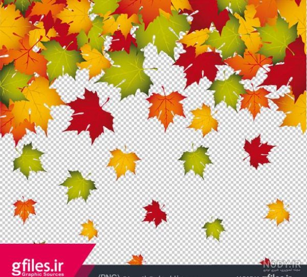  عکس برگ درخت چنار