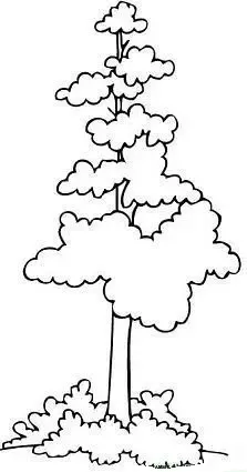  عکس درخت چنار نقاشی