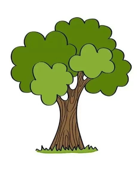  عکس درخت چنار نقاشی