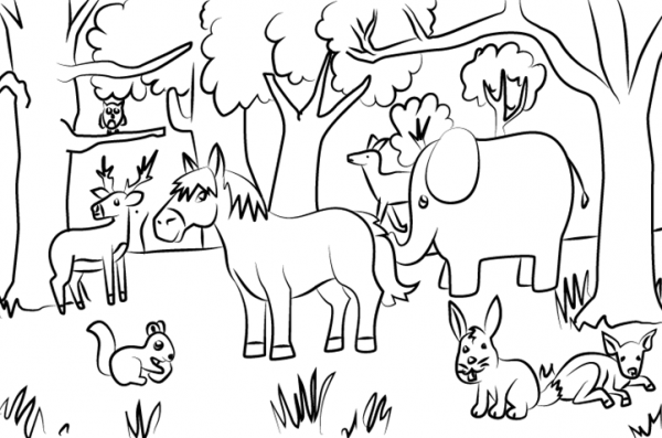  عکس های نقاشی حیوانات