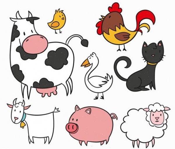  عکس های نقاشی حیوانات