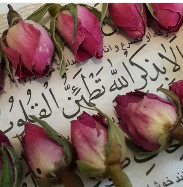  عکس پروفایل قران و خدا