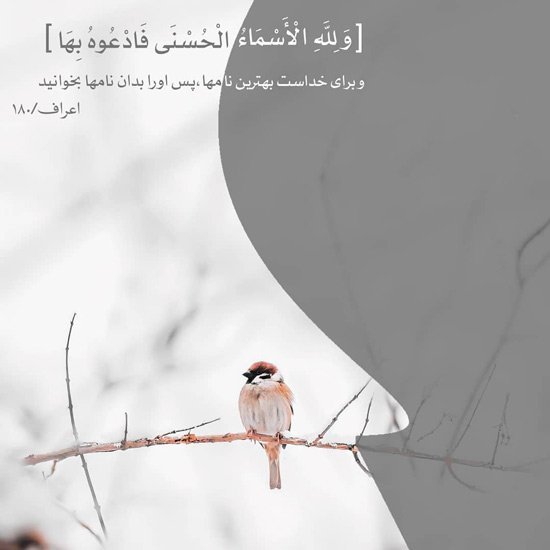 پروفایل قرآنی آرامش