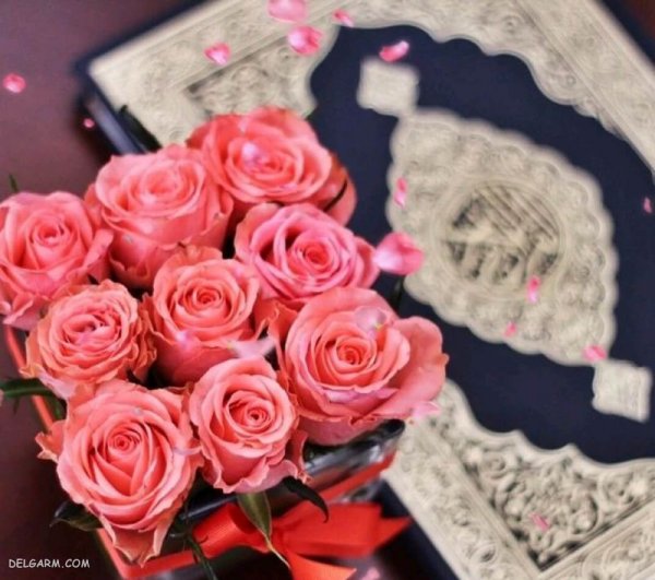 پروفایل قرآنی جدید