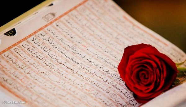 پروفایل قرآنی جدید