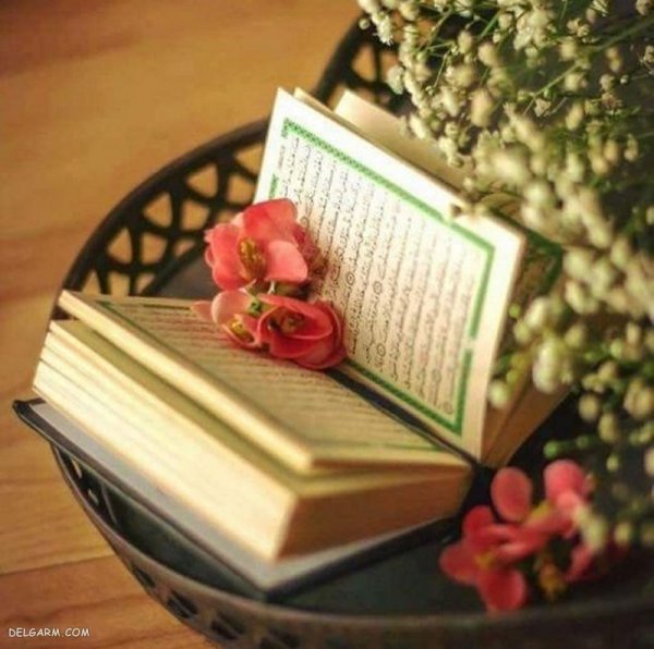  عکس زیبای گل و قرآن