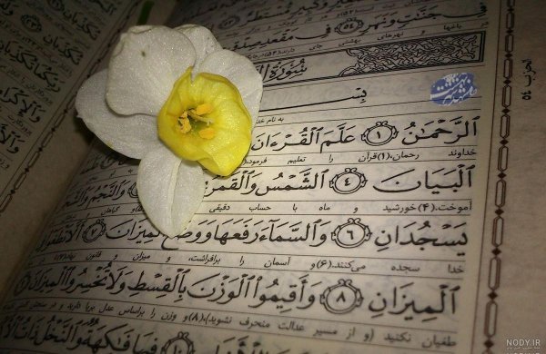  عکس قرآن و گل نرگس