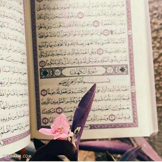  عکس استوری قرآن و گل