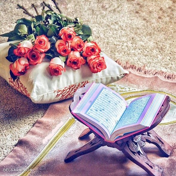  عکس استوری قرآن و گل