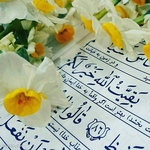  عکس قرآن و گل برای پروفایل