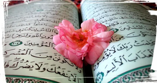  والپیپر گل و قرآن