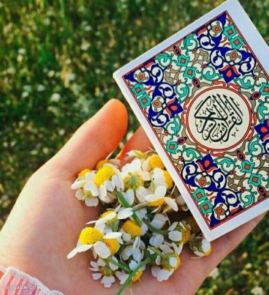 عکس قرآن و گل نرگس