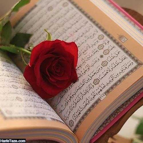  عکس قرآن و گل برای تصویر زمینه گوشی