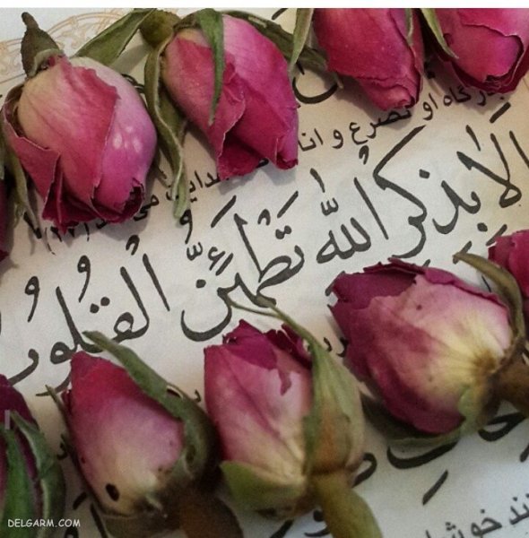  عکس قرآن با گل پس زمینه گوشی