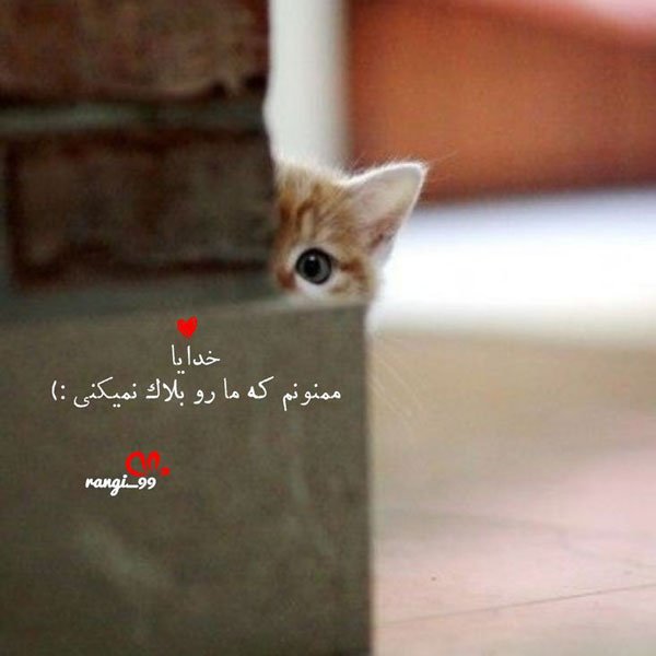  پروفایل انگیزشی موفقیت