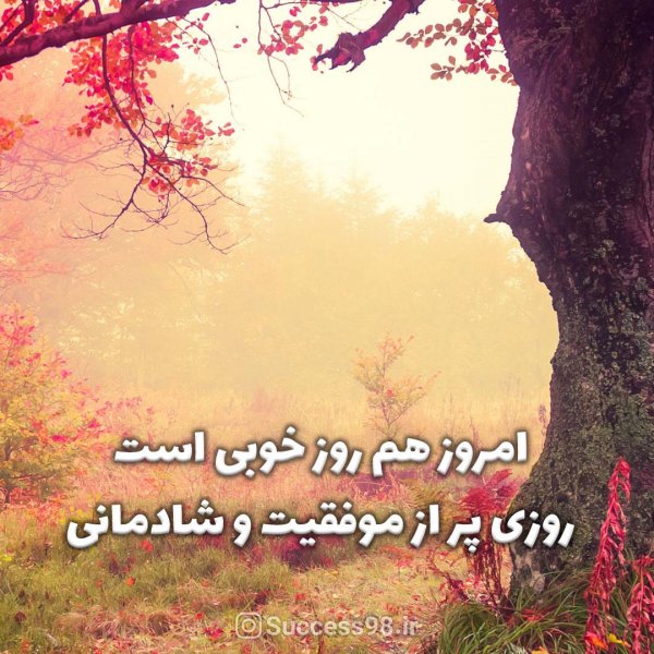  تصاویر انگیزشی نتورکی