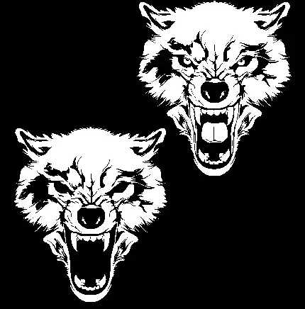  والپیپر عکس کارتونی گرگ با کیفیت HD