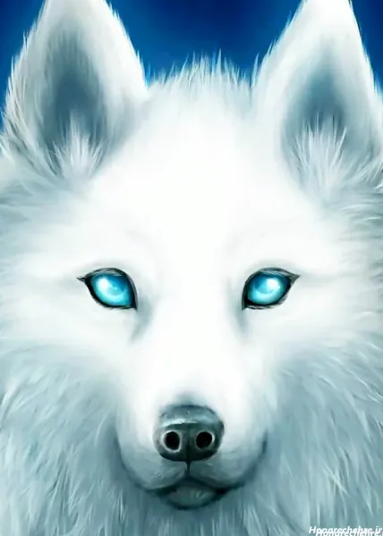  والپیپر گرگ سفید و فانتزی برای پروفایل دخترانه