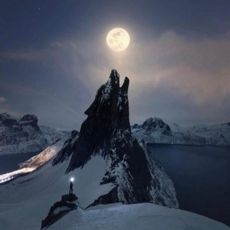  عکس گرگ خاکستری برای پروفایل